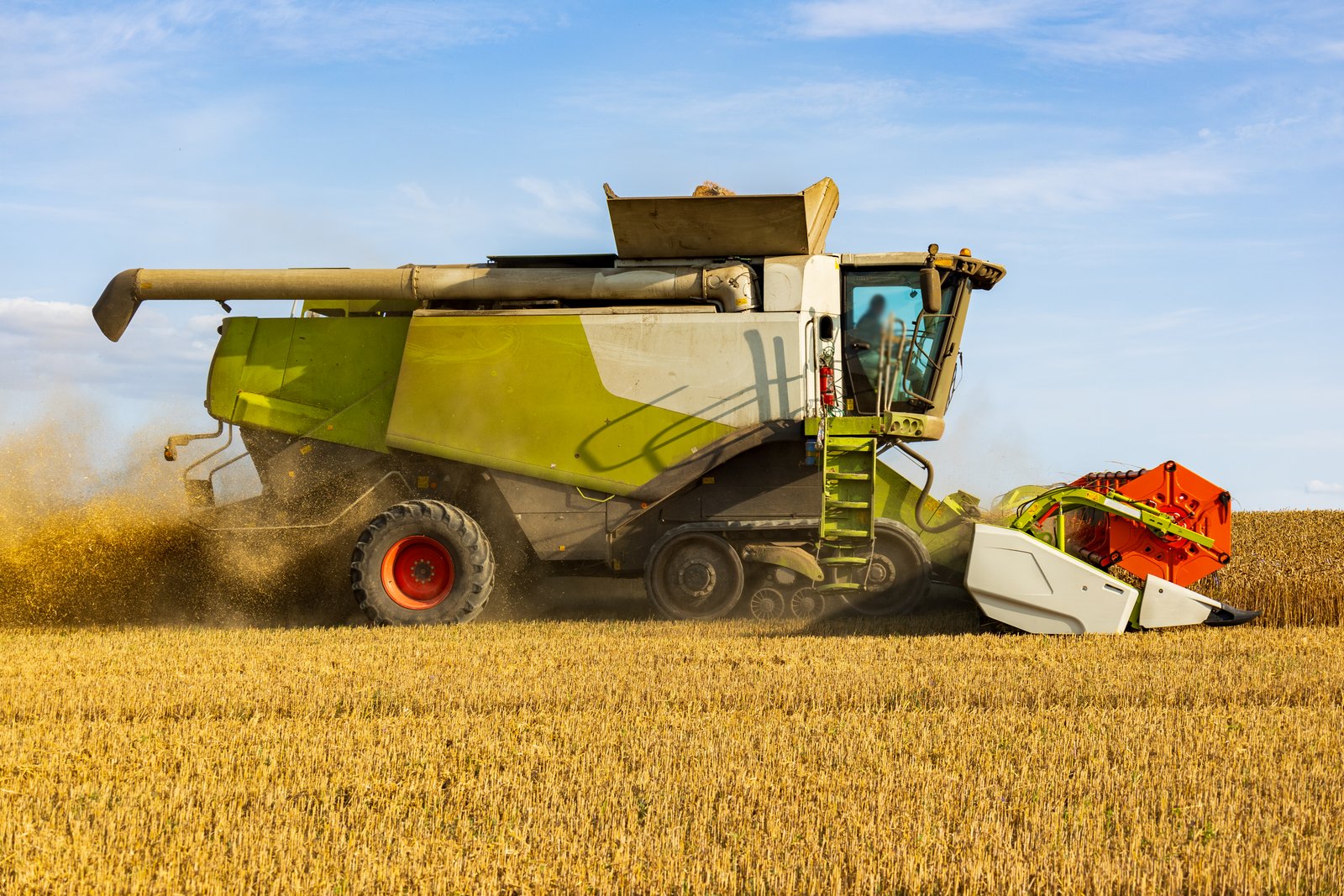 Harvest & Buyback