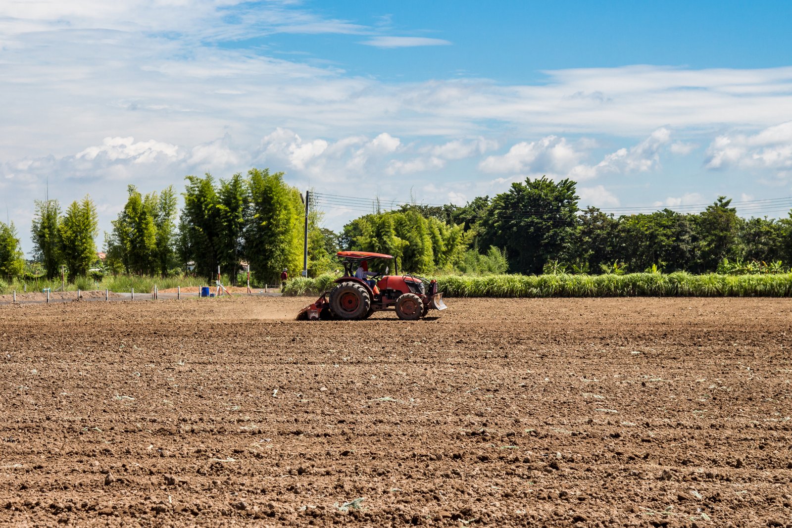 Land Preparation